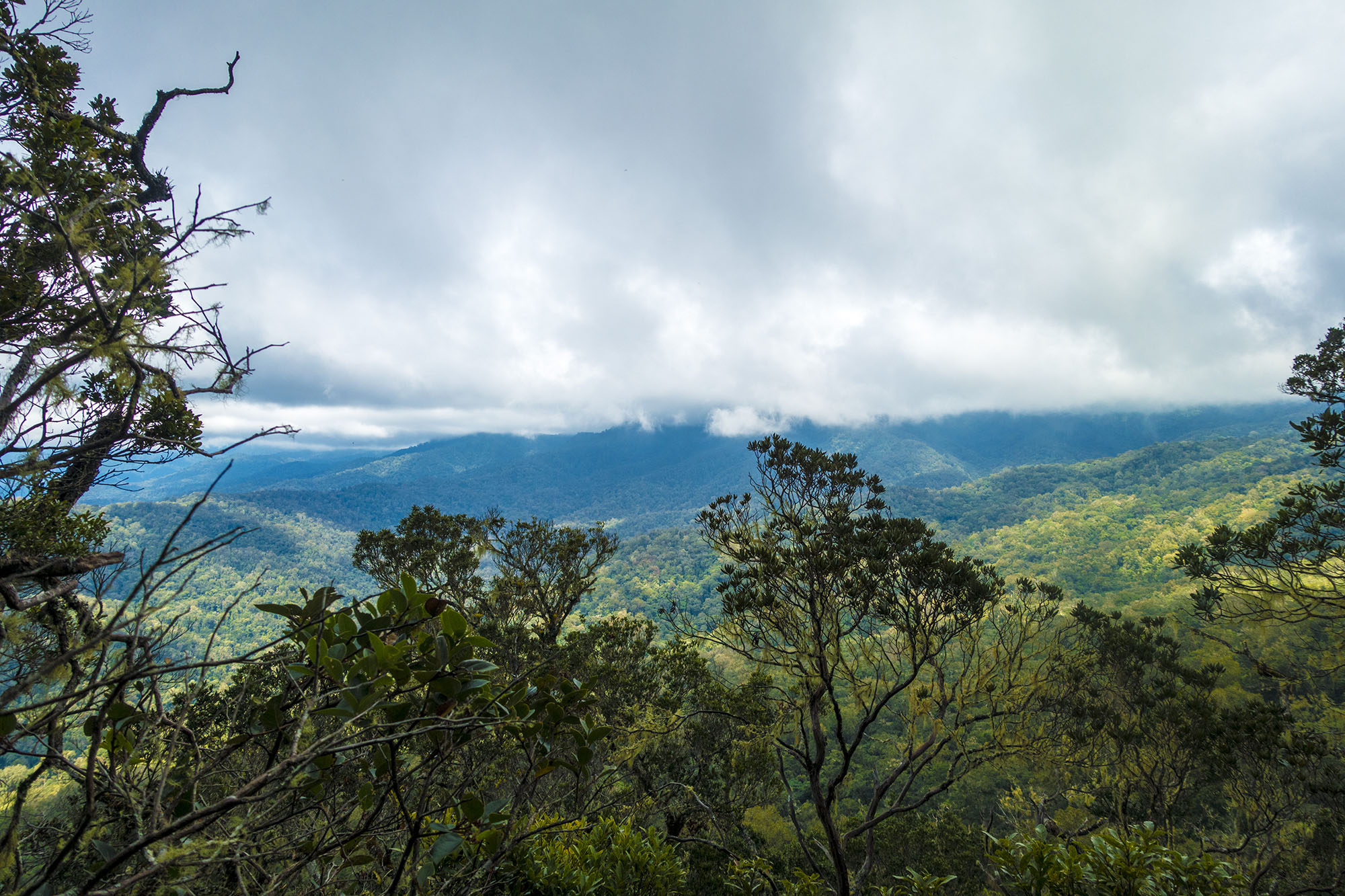 Costa Rica: Las Alturas and Cerro Chai – Reboot Life