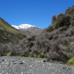 Kaikoura Ranges Mt Tapuaenuku