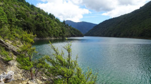 Swimming spot in Lake Chalice Richmond Forest Park