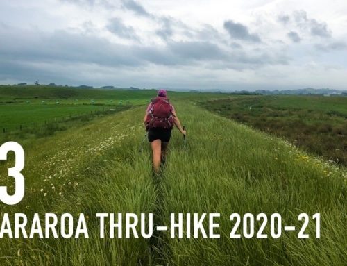 TE ARAROA THRU-HIKE 2020-21: Pakiri Beach to Hamilton (E 03)